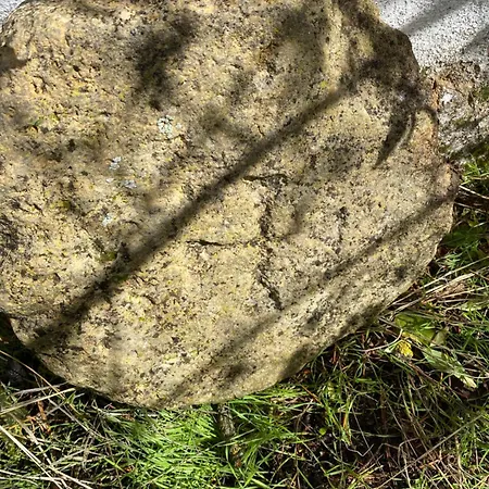 El Gerbal Casa de Férias *