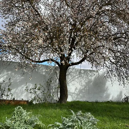 Casa de Férias El Gerbal *