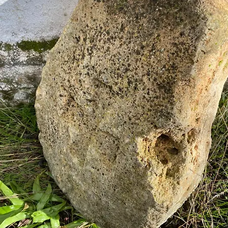 El Gerbal