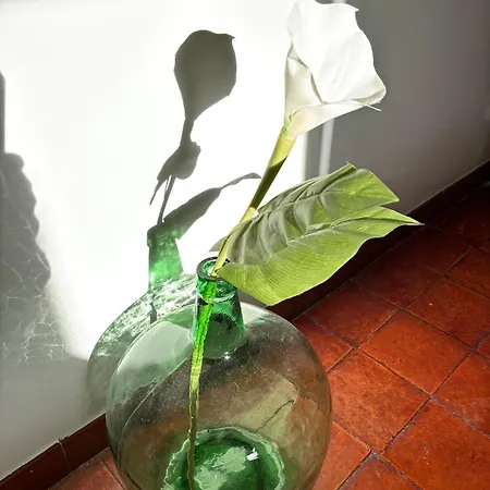 El Gerbal