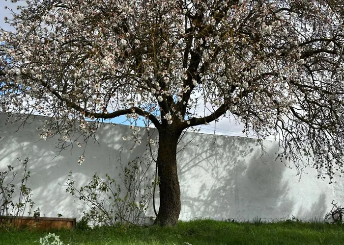 Semesterbostad El Gerbal *